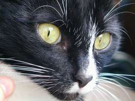 Bilder - Best of 2001 - bonny-augen