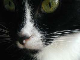 Bilder - Best of 2001 - bonny-nah