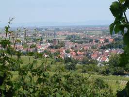 Bilder - Best of 2001 - deidesheim