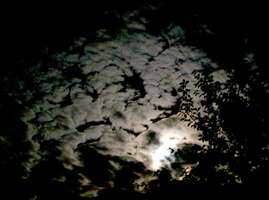 Bilder - Best of 2001 - himmel-nachtwolken