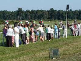 Bilder - Best of 2001 - pferderennen-kibitzen