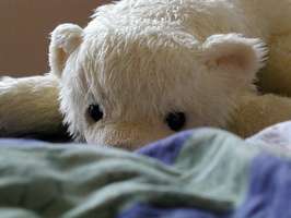 Bilder - Best of 2001 - teddybaer