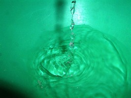 Bilder - Best of 2003 - wasser-gruen