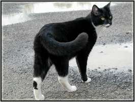 Bilder - Best of 2004 - bonny-strasse