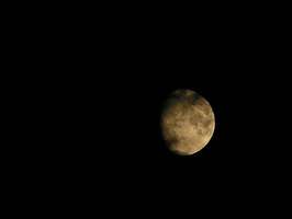 Bilder - Best of 2004 - mond