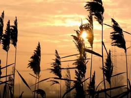 Bilder - Best of 2004 - sunny-field