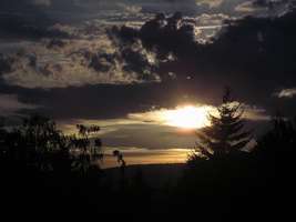 Bilder - Best of 2004 - tanne-gegenlicht