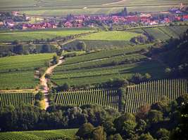 Bilder - Best of 2005 - aussicht-vom-berg