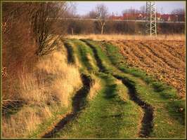 Bilder - Best of 2005 - feld-weg