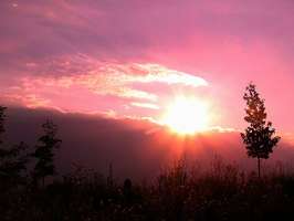 Bilder - Best of 2005 - himmel-in-rot