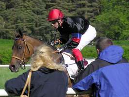 Bilder - Best of 2005 - jockey-ganz-nah