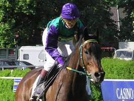 Bilder - Best of 2005 - jockey-on-top