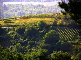 Bilder - Best of 2005 - odenwald-licht-huegel