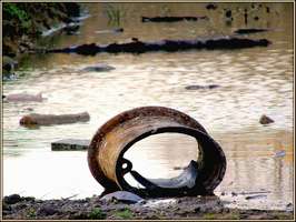 Bilder - Best of 2005 - roehre