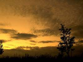 Bilder - Best of 2005 - sky-brown