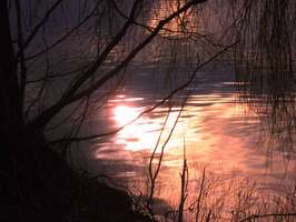 Bilder - Best of 2007 - sealight