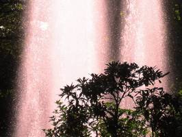 Bilder - Best of 2007 - water-games