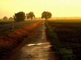 Bilder - Best of 2007 - weg-orange