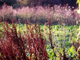 Bilder - Best of 2008 - feld-schichten