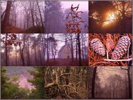 Bilder - Best of 2008 - pfalz-wanderung