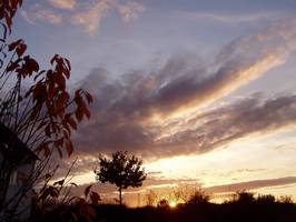 Bilder - Best of 2008 - wolken-zunge