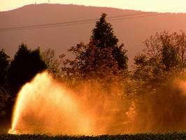 Bilder - Best of 2009 - feuerwasser