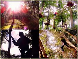 Bilder - Best of 2009 - kletterwald-viernheim