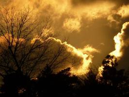 Bilder - Best of 2010 - golden-clouds