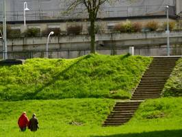 Bilder - Best of 2010 - grass-wall