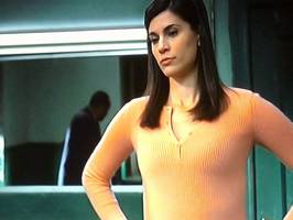 Bilder - Best of 2010 - law-and-order-milena-govich