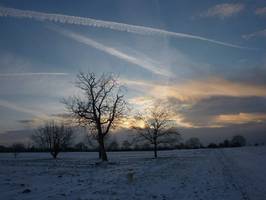 Bilder - Best of 2010 - schneelandschaft-blau