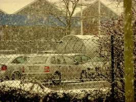 Bilder - Best of 2010 - snow-flurry