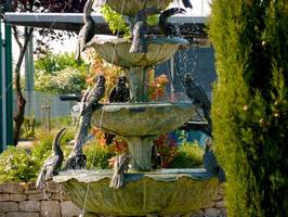 Bilder - Best of 2011 - steinerndes-vogelvieh