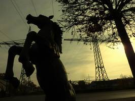 Bilder - Best of 2011 - stone-horse