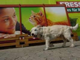 Bilder - Best of 2011 - taz-und-katz