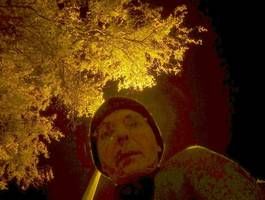 Bilder - Best of 2013 - dan-at-night