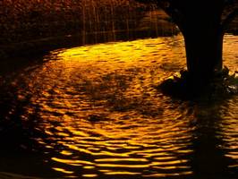 Bilder - Best of 2013 - red-water