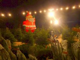 Bilder - Best of 2013 - sankt-nikolaus-verkauft-baeume