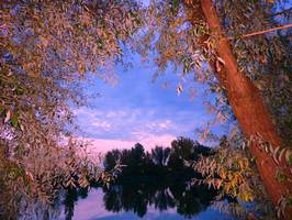 Bilder - Best of 2013 - see-mit-baeumen