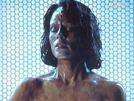 Bilder - Best of 2013 - star-trek-voyager-belanna-torres