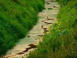 Bilder - Best of 2014 - flossbach