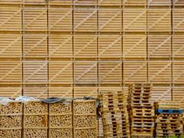 Bilder - Best of 2014 - holz