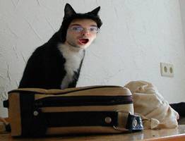 Bilder - Fakes - daniel-bonny