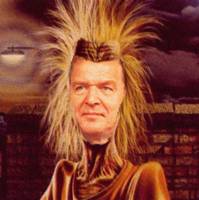 Bilder - Fakes - schroeder-maiden