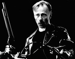 Bilder - Fakes - trittin-terminator