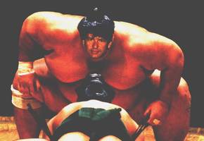 Bilder - Fakes - uwe-sumo-ringer