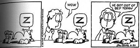 Comics - Jim Davis: Garfield
