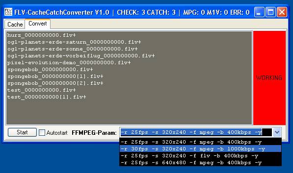 FLV-Cache-Catch-Converter - Ein wohlgefüllter Konvertierungsspooler