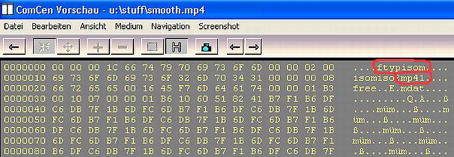 FLV-Cache-Catch-Converter - Hex-View des MP4-Headers