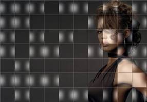 Delphi-Tutorials - Pic-of-Pictures (Mosaik-Collage) - Demo: Schwarz-Weiss-Pixelblöcke in minderer Qualität